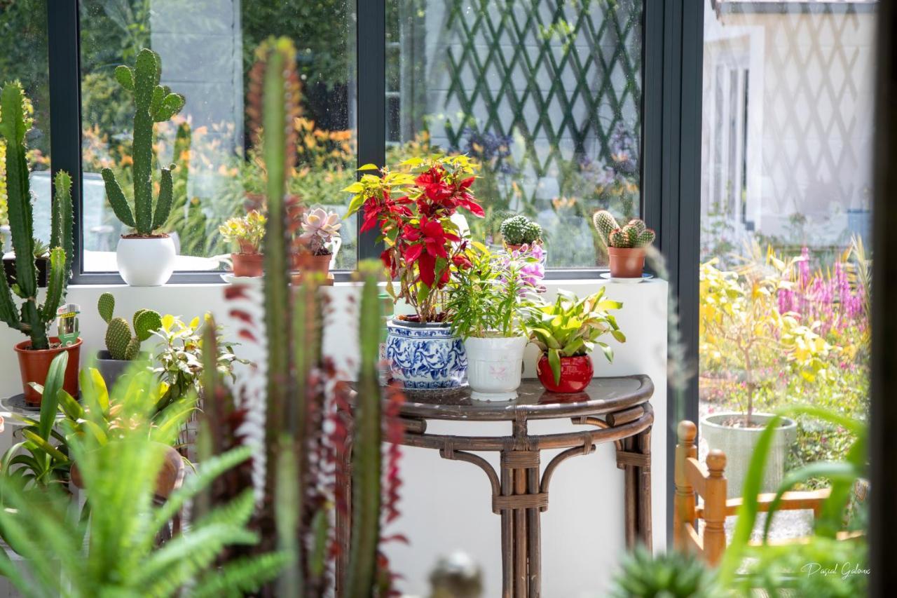 Villa Marguerite 65 Rue Legout Lesage 76260 Ponts Et Marais Buitenkant foto